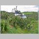 Waiheke Island 094.jpg
